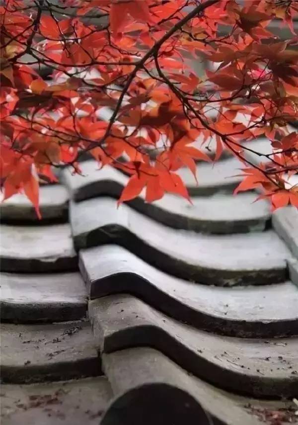 古建筑，一片瓦，遮風(fēng)擋雨