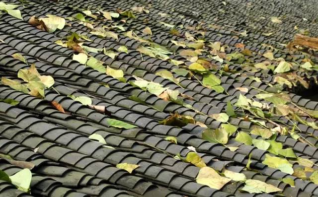 古建筑，一片瓦，遮風(fēng)擋雨