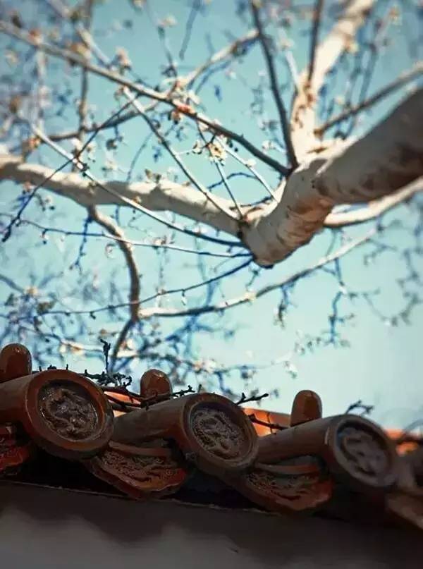 古建筑，一片瓦，遮風(fēng)擋雨