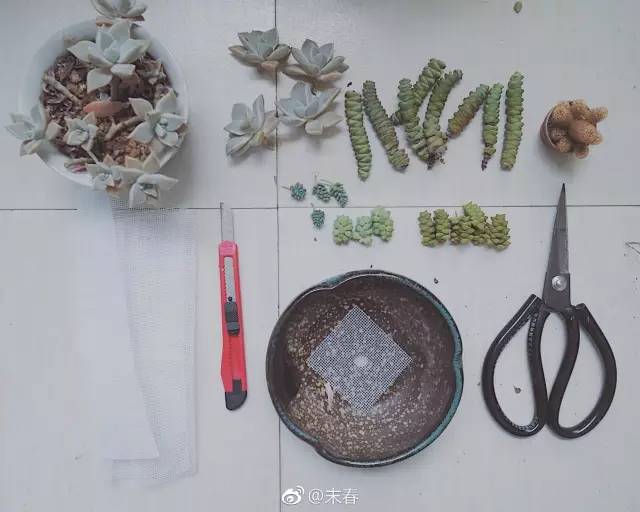 獨特中國美，最美插畫，膚如凝脂珠圓玉潤民國