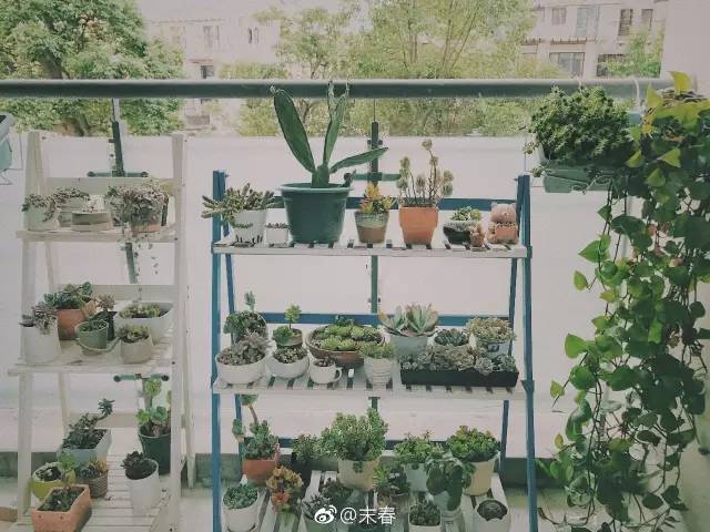 獨特中國美，最美插畫，膚如凝脂珠圓玉潤民國