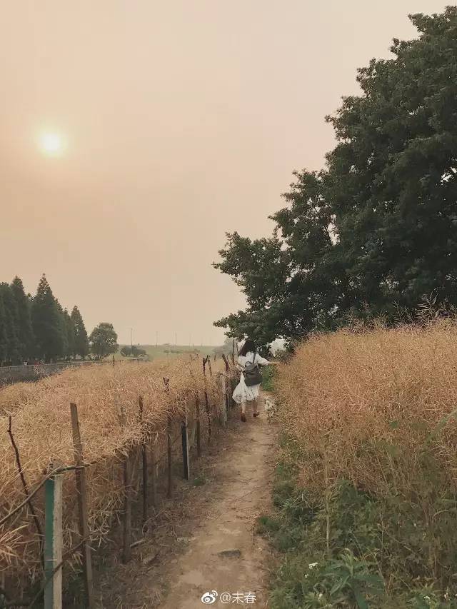 獨特中國美，最美插畫，膚如凝脂珠圓玉潤民國