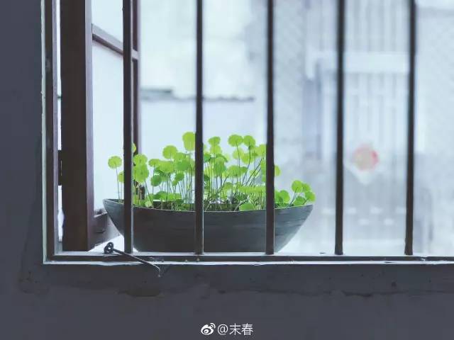 獨特中國美，最美插畫，膚如凝脂珠圓玉潤民國