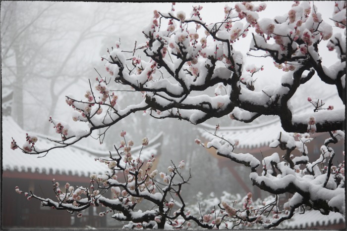 美的刺目的中國古建筑 歷經(jīng)世間滄桑、歲月荏苒