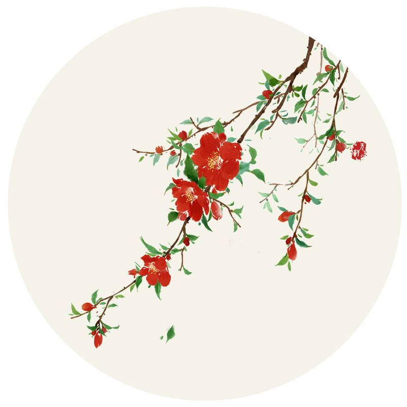 唯美花卉插畫圖片