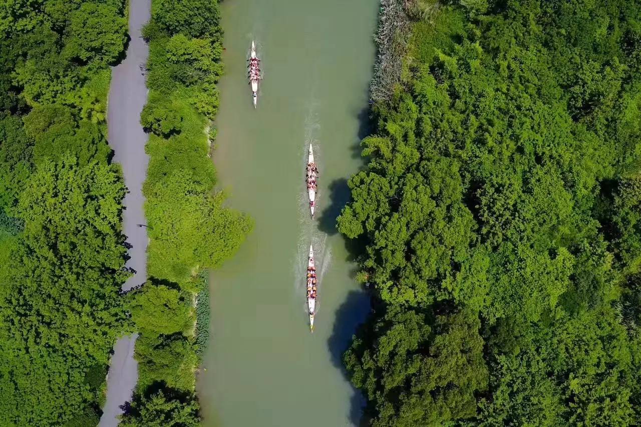 好久不見，西溪濕地范的民宿