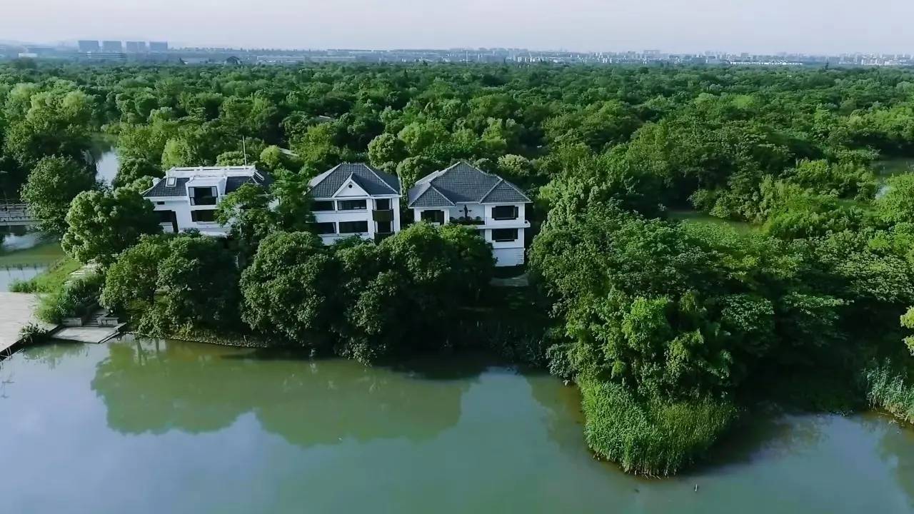 好久不見(jiàn)，西溪濕地范的民宿