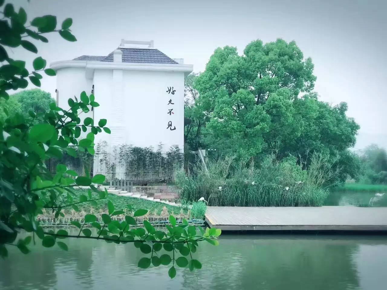 好久不見(jiàn)，西溪濕地范的民宿