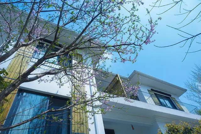 好久不見(jiàn)，西溪濕地范的民宿