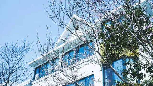 好久不見(jiàn)，西溪濕地范的民宿