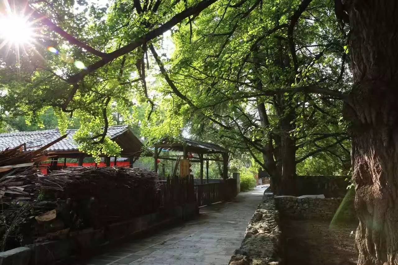 茶馬古道，民宿古宅設(shè)計(jì)改造