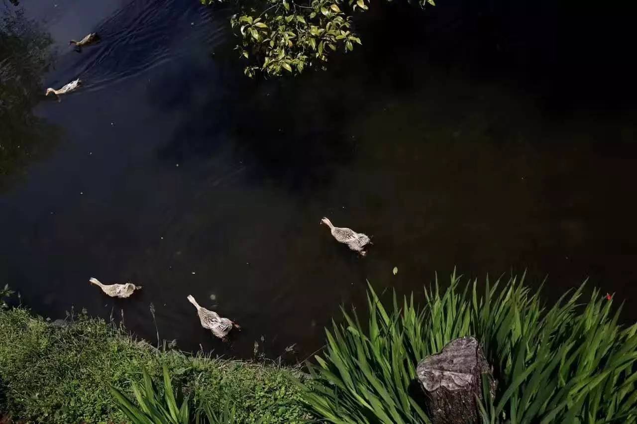 茶馬古道，民宿古宅設(shè)計(jì)改造