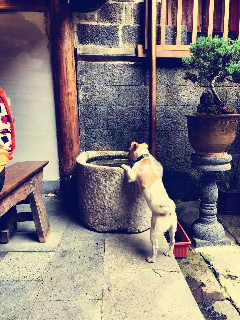 茶馬古道，民宿古宅設(shè)計改造