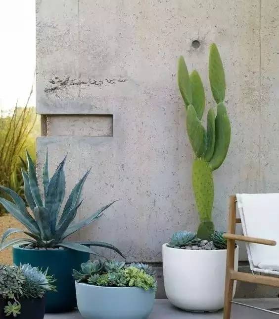 水泥墻樸素寂靜的美，庭院設(shè)計(jì)