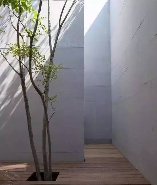 水泥墻樸素寂靜的美，庭院設(shè)計(jì)