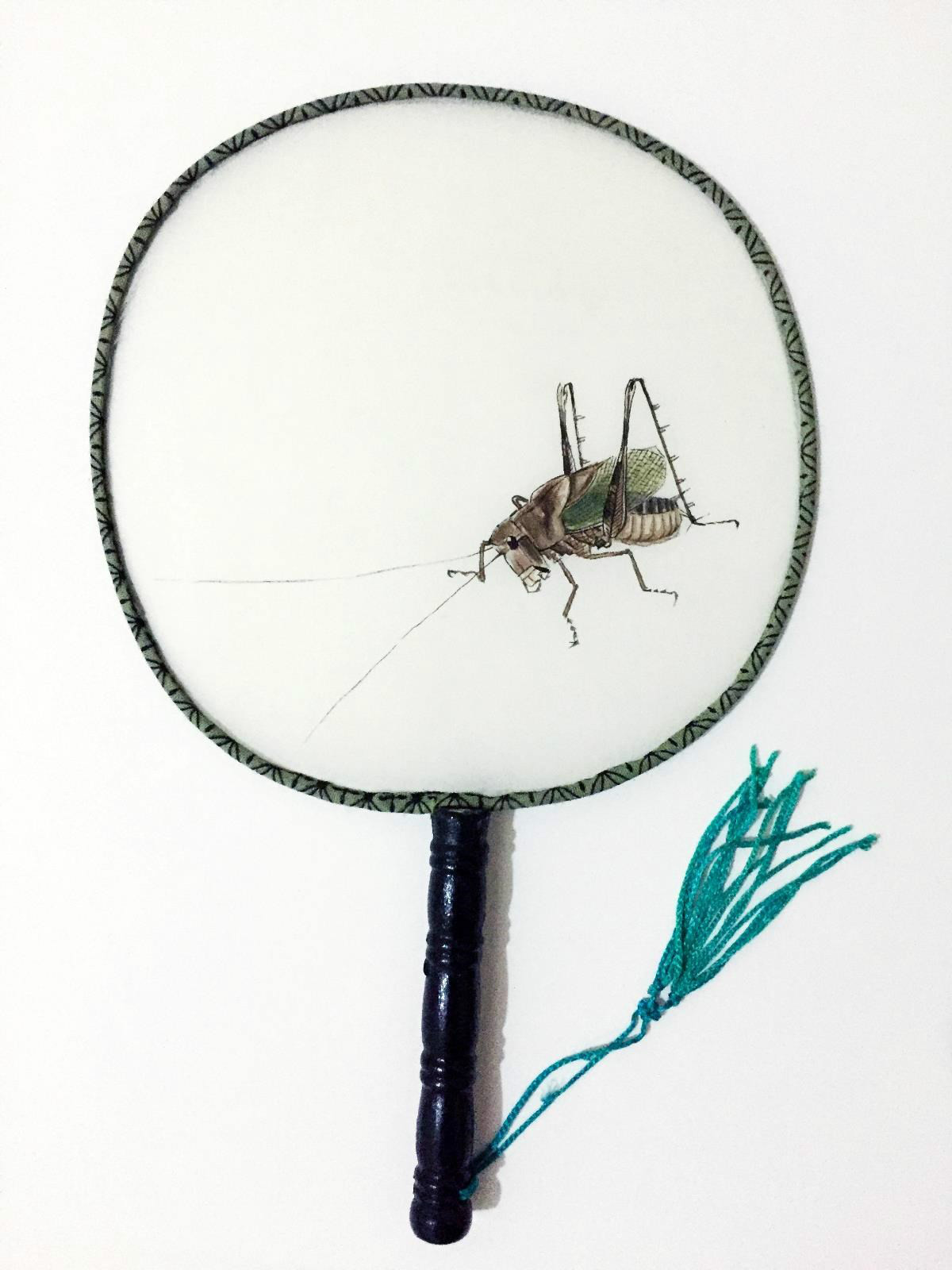 古風(fēng)手繪草蟲(chóng)系列絲綢團(tuán)扇