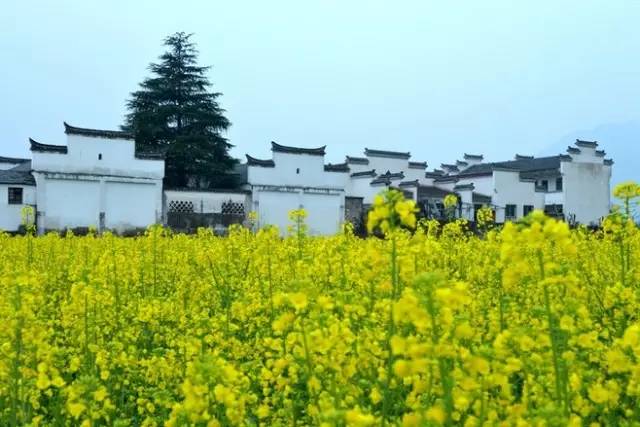 中國建筑六大派之一，皖派建筑