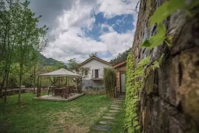 一山九舍 ， 游弋翠竹山林之中