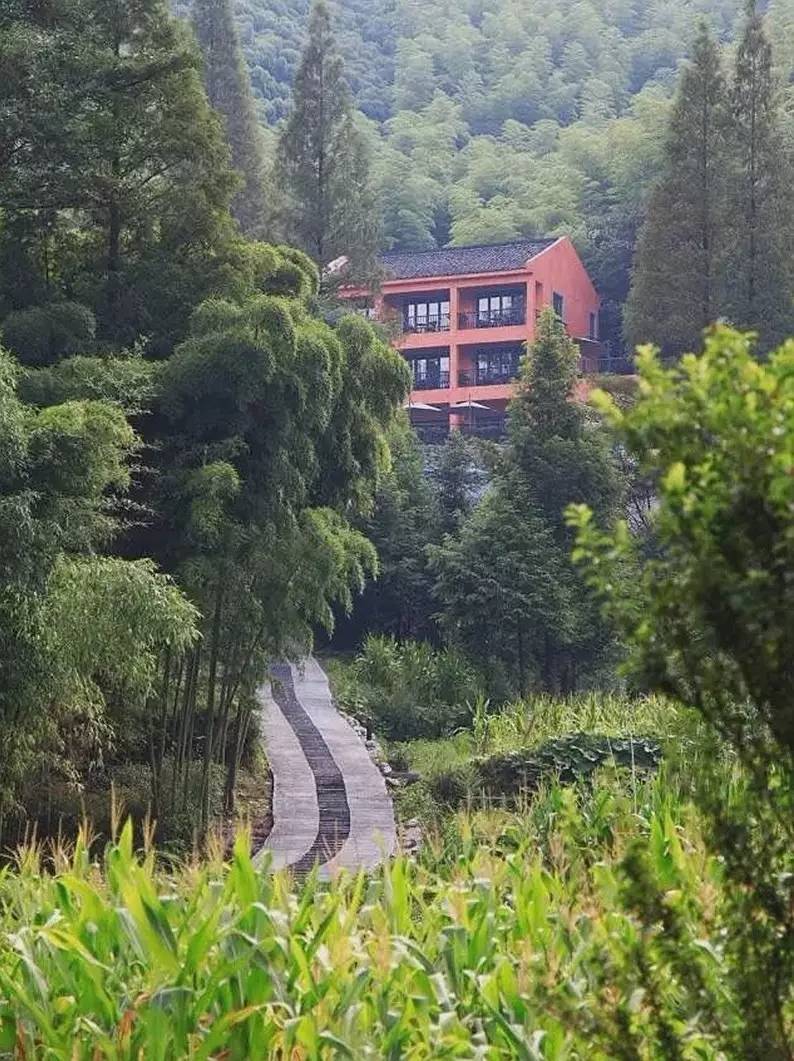 尚坡民宿，坐擁絕佳山景的無敵泳池