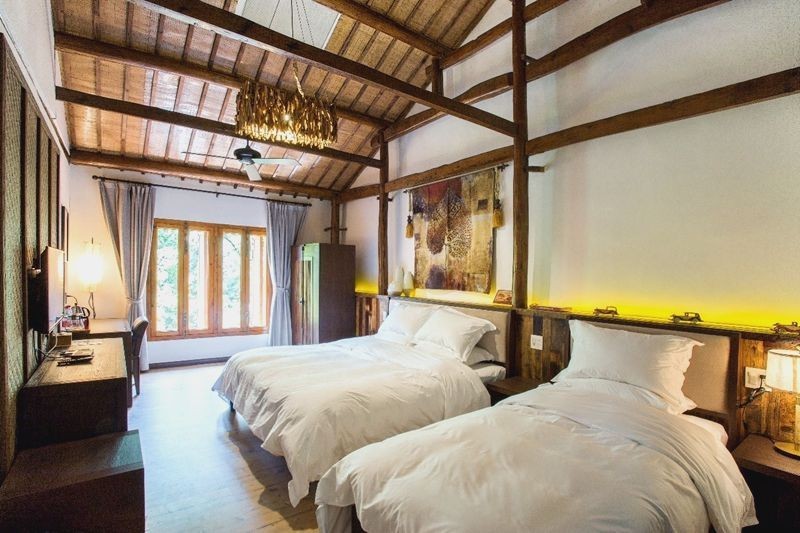 安吉老樹林，600米海拔上的火山泉水池