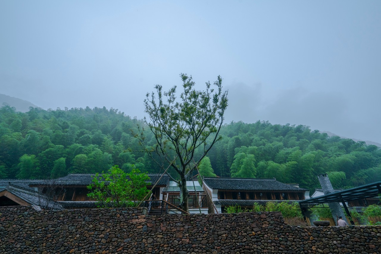 龍觀禪那，靈魂安放之處的民宿