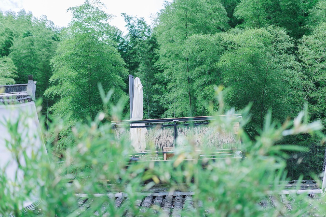 龍觀禪那，靈魂安放之處的民宿