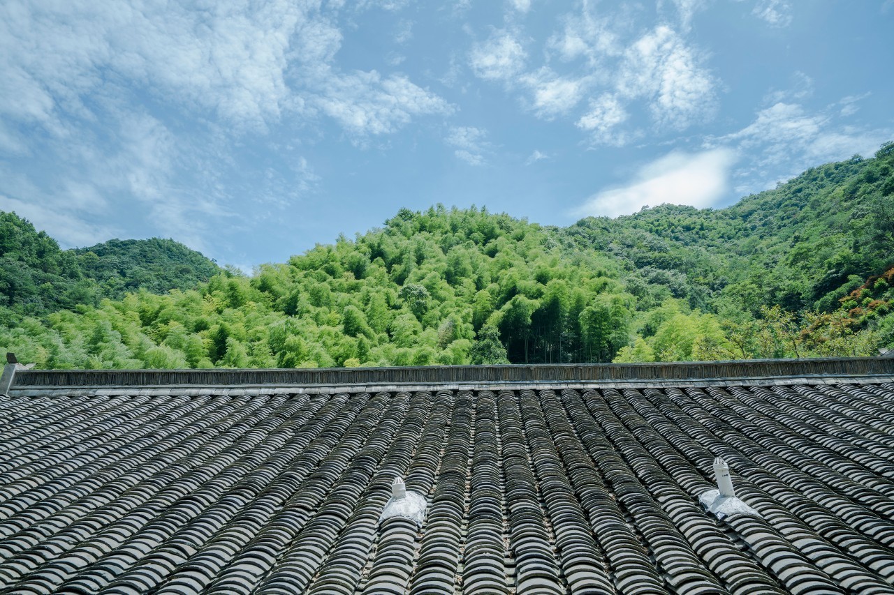 龍觀禪那，靈魂安放之處的民宿
