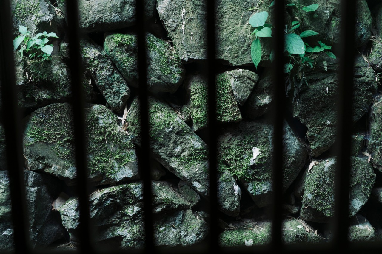 龍觀禪那，靈魂安放之處的民宿