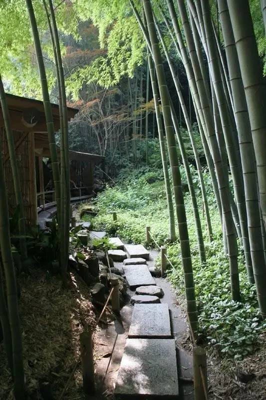 庭院設(shè)計(jì)，竹子在庭院中造景的運(yùn)用