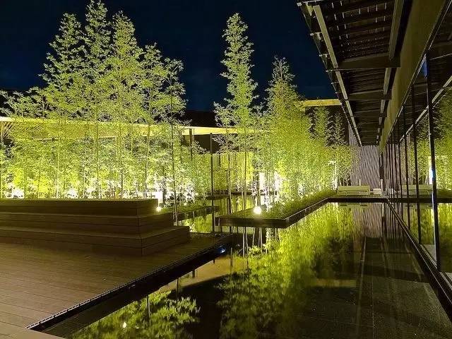 庭院設(shè)計(jì)，竹子在庭院中造景的運(yùn)用