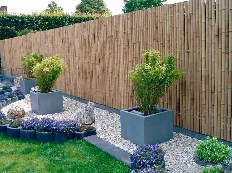 庭院設(shè)計(jì)，竹子在庭院中造景的運(yùn)用