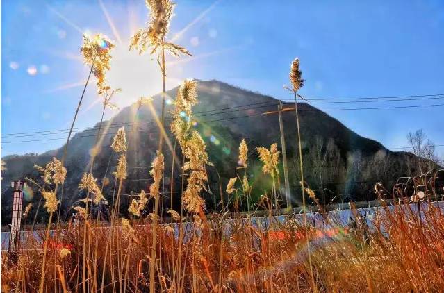 大舍為鄰，北京懷柔民宿設(shè)計(jì)