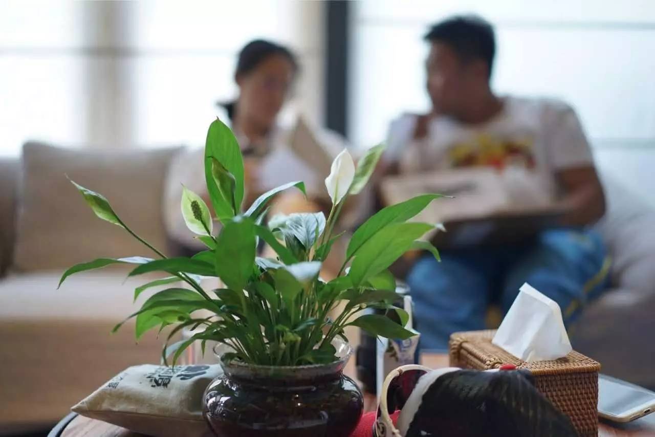 大舍為鄰，北京懷柔民宿設(shè)計(jì)