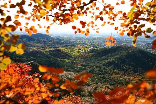 大舍為鄰，北京懷柔民宿設計