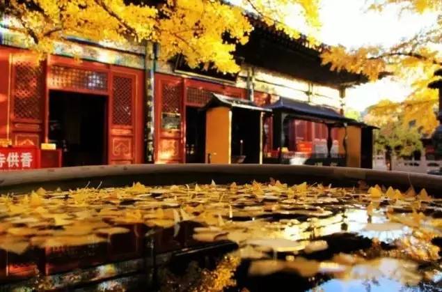 大舍為鄰，北京懷柔民宿設計