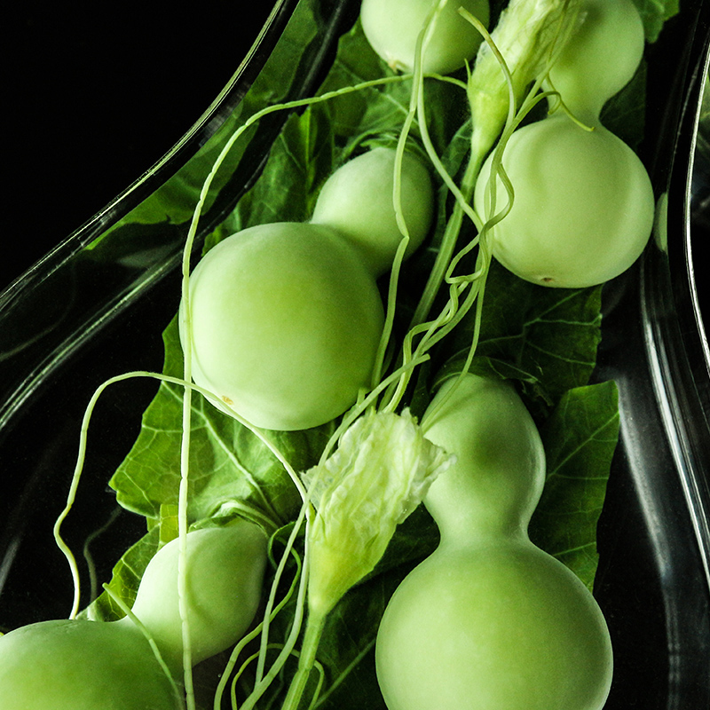 新鮮水葫蘆有機玻璃工藝品