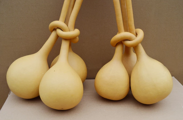 驚呆了，造型獨(dú)特的葫蘆工藝品