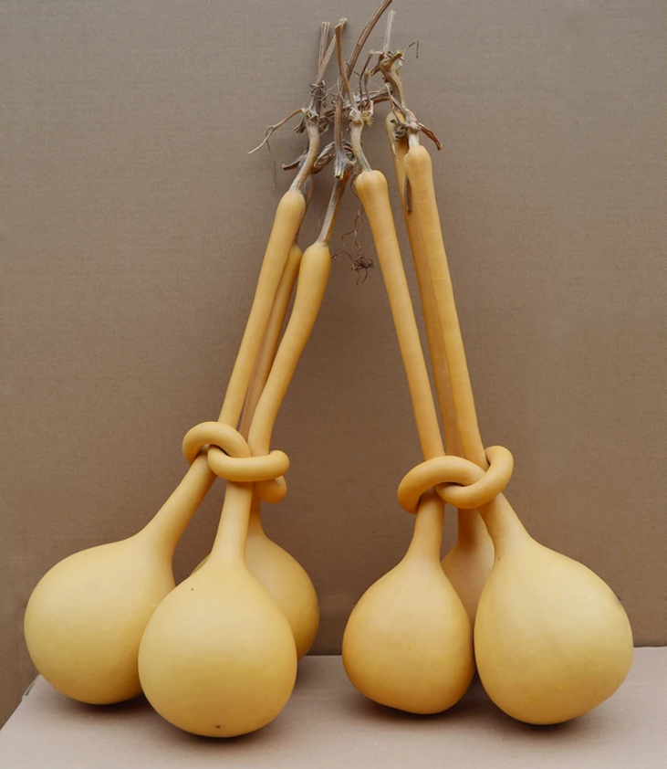 驚呆了，造型獨(dú)特的葫蘆工藝品