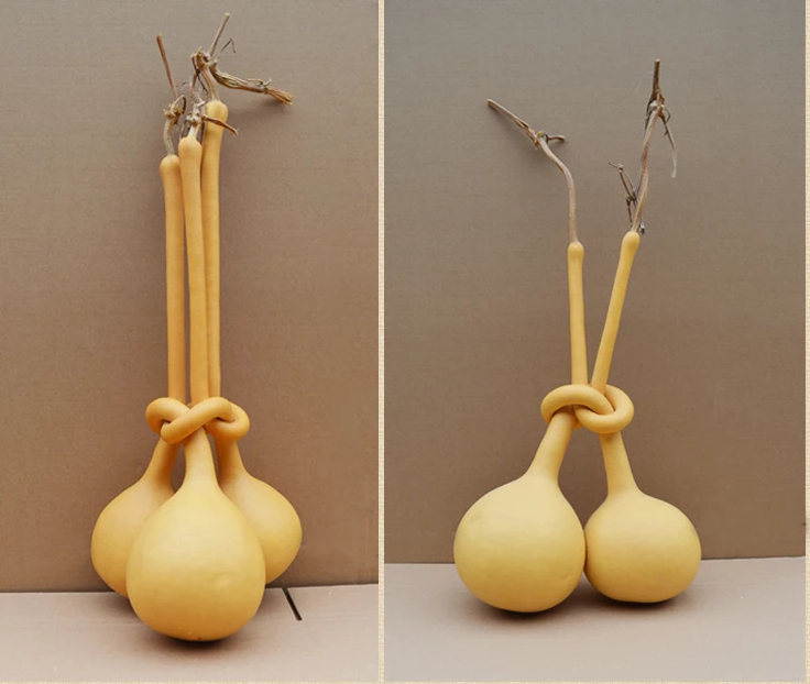 驚呆了，造型獨(dú)特的葫蘆工藝品