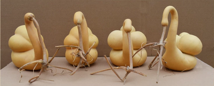 驚呆了，造型獨(dú)特的葫蘆工藝品