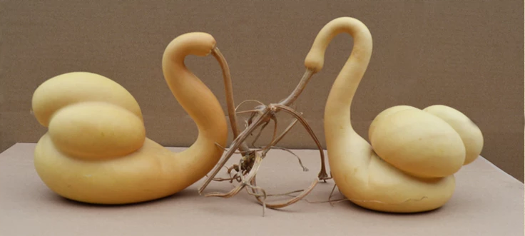 驚呆了，造型獨(dú)特的葫蘆工藝品