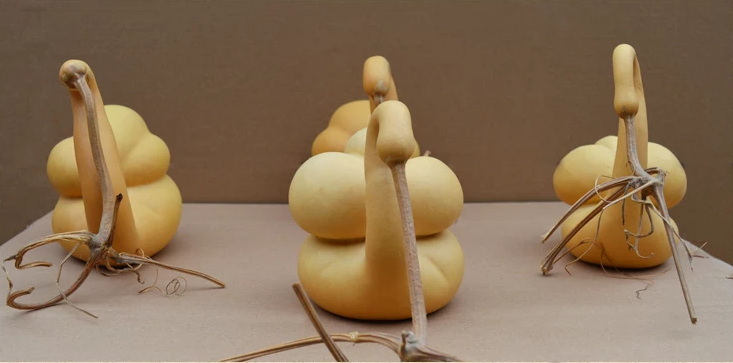 驚呆了，造型獨(dú)特的葫蘆工藝品