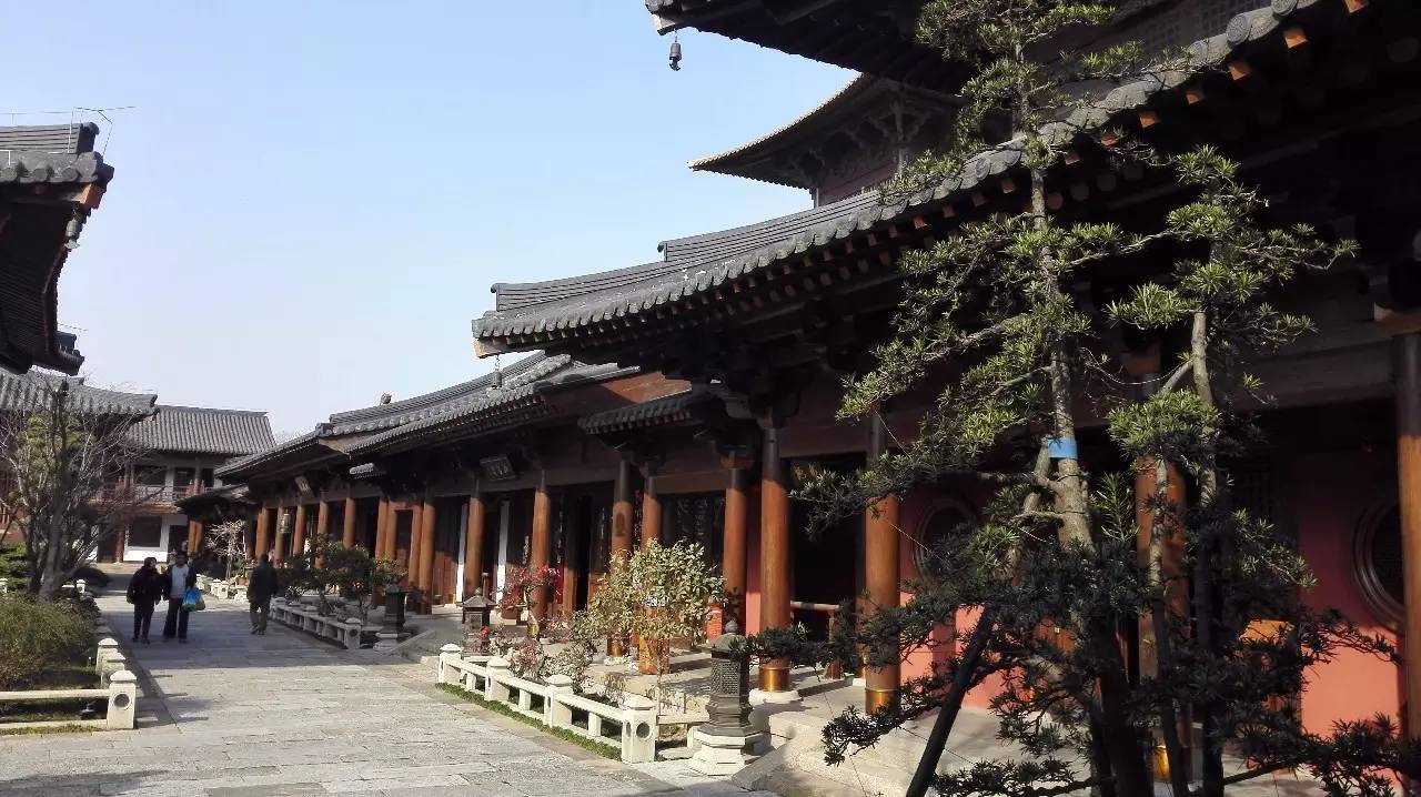 膩害了，上海有座40000㎡的水下博物館