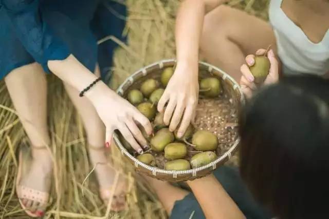 竹里云溪民宿設(shè)計，回歸田園