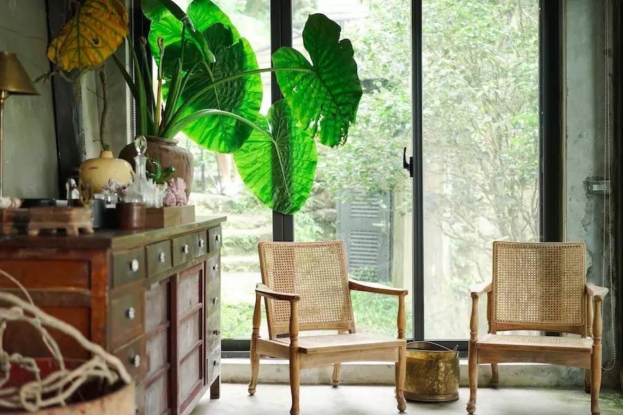 臺灣最文藝的山間小屋，數(shù)樹民宿設(shè)計