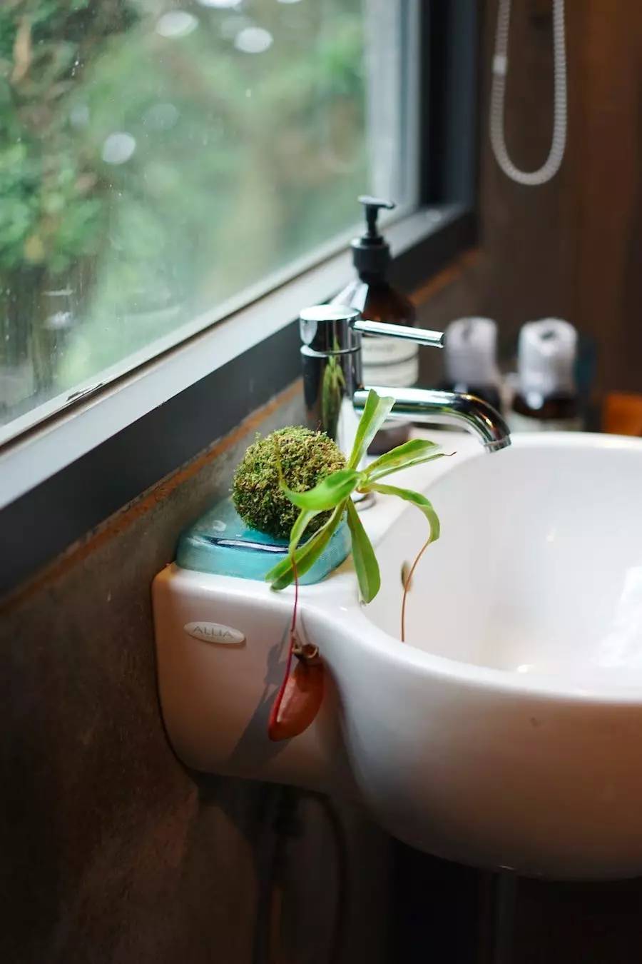 臺(tái)灣最文藝的山間小屋，數(shù)樹民宿設(shè)計(jì)