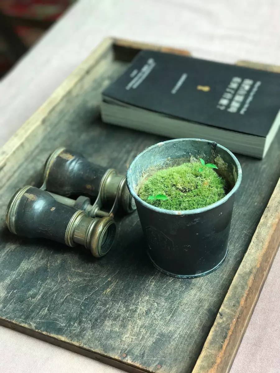 臺(tái)灣最文藝的山間小屋，數(shù)樹民宿設(shè)計(jì)