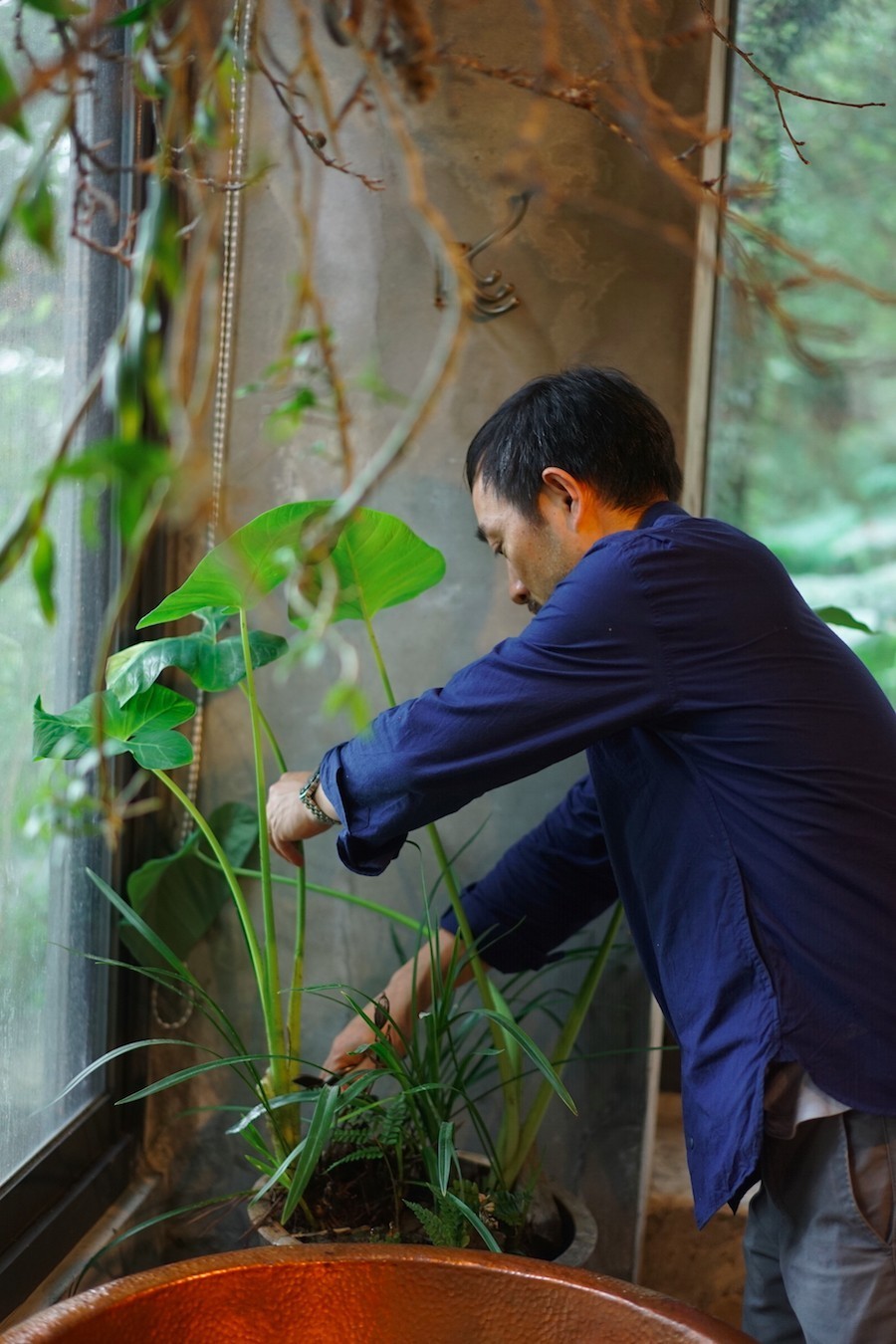 臺灣最文藝的山間小屋，數(shù)樹民宿設(shè)計