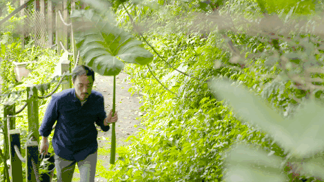 臺灣最文藝的山間小屋，數(shù)樹民宿設(shè)計