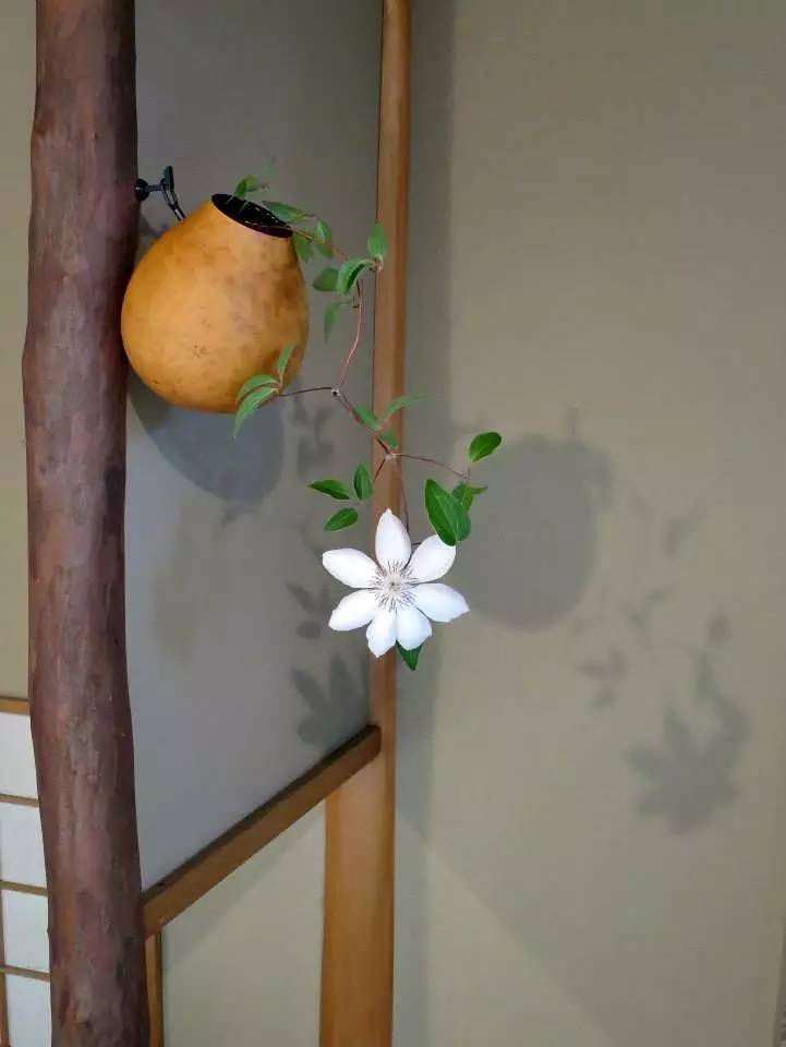 日本茶道文化的八大美：缺陷、簡素、枯槁、自